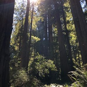 Meet your Posher, Cameron